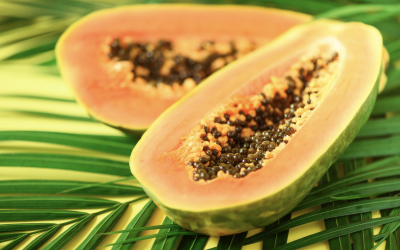 Manfaat Pepaya Untuk Wasir