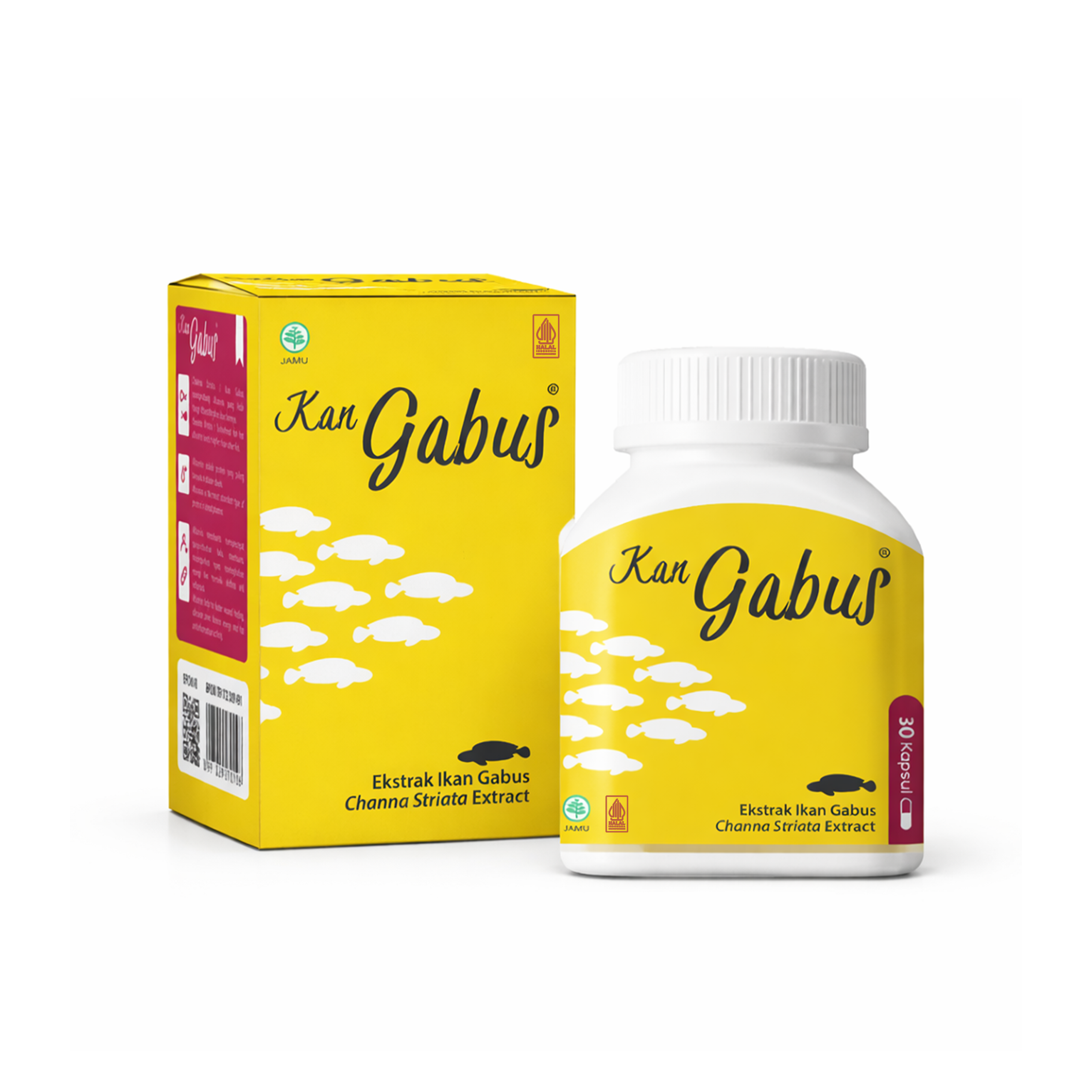 Suplemen ikan Gabus