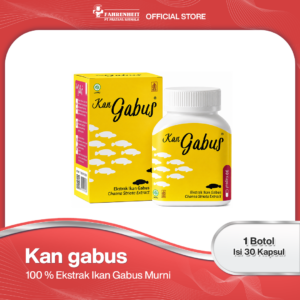 Kan Gabus