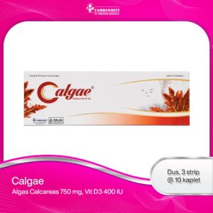 Suplementasi kalsium Calgae